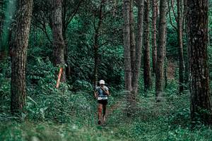 BIB: 
                            <button type="button" onclick="openModal(25235943)" class="btn btn-primary btn-sm float-right btn-popup" data-toggle="modal" data-target=".modal-high-quality">
                        <i class="fas fa-shopping-cart"></i> Add to Cart
                    </button>
                                            <button type="button" onclick="isThisMe(25235943, true)" class="btn btn-success btn-sm float-right btn-popup btn-isme hidden" data-toggle="tooltip" data-placement="bottom" title="นี่คือรูปของคุณใช่ไหม คลิกที่นี่เพื่อเอาเข้าอัลบั้ม">
                        <i class="fas fa-plus"></i> Add to album
                    </button>
                    <button type="button" onclick="isThisMe(25235943, false)" class="btn btn-warning btn-sm float-right btn-popup btn-isnotme hidden">
                        <i class="fas fa-ban"></i> Remove from album
                    </button>